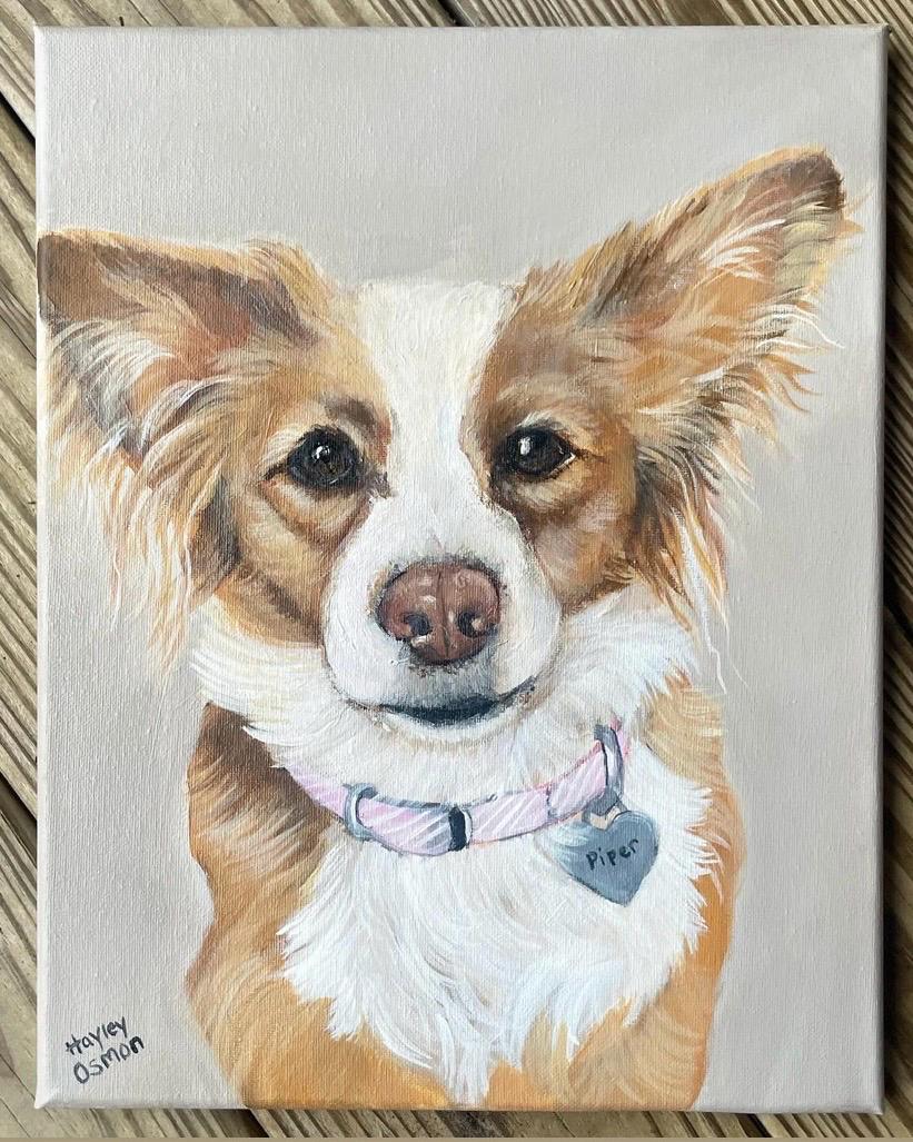 Custom Pet Portrait Painting, Hand-Painted Acrylic on Stretched Canvas