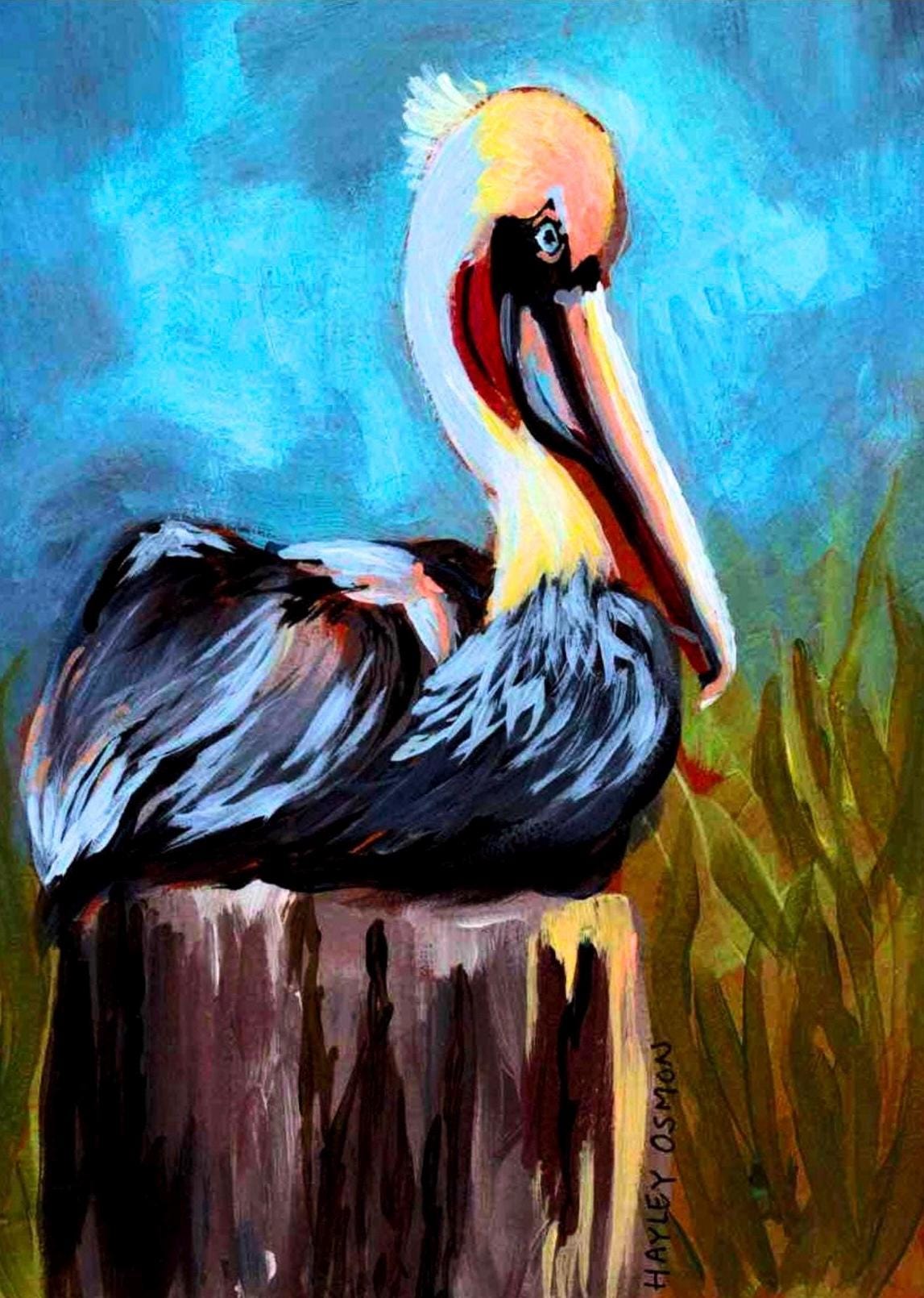Pelican Promises