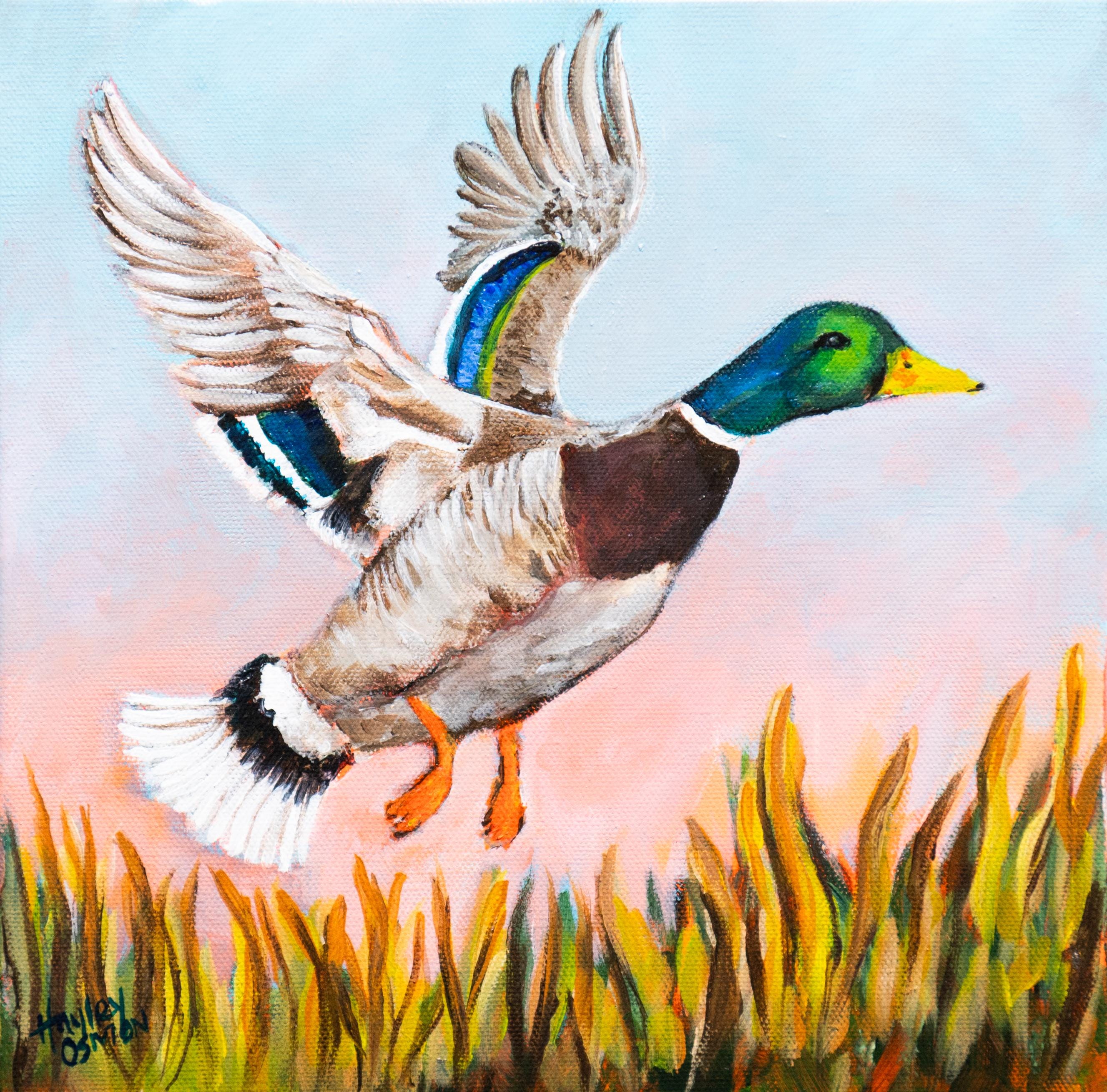 The Green Mallard Print