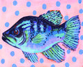 NC Crappie Print