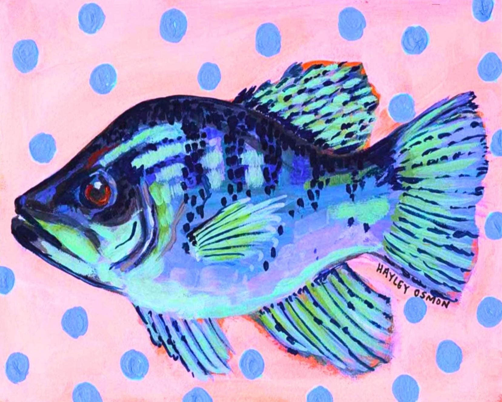 NC Crappie Print