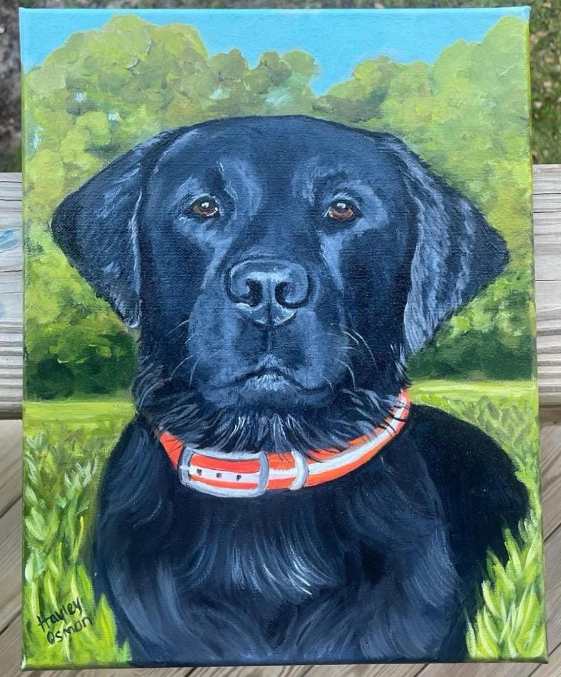 Custom Pet Portrait Painting, Hand-Painted Acrylic on Stretched Canvas