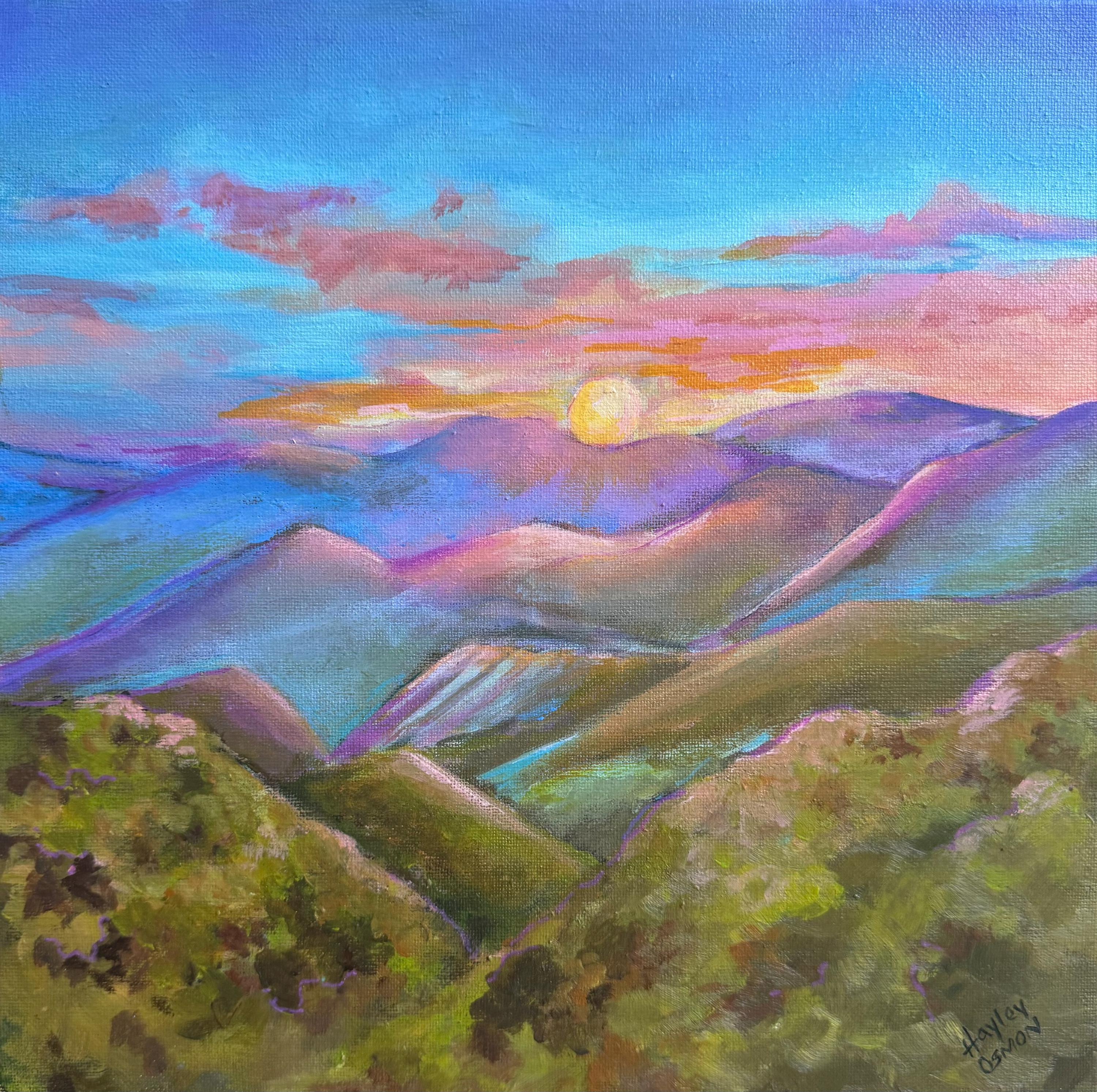 NC Mountains Print
