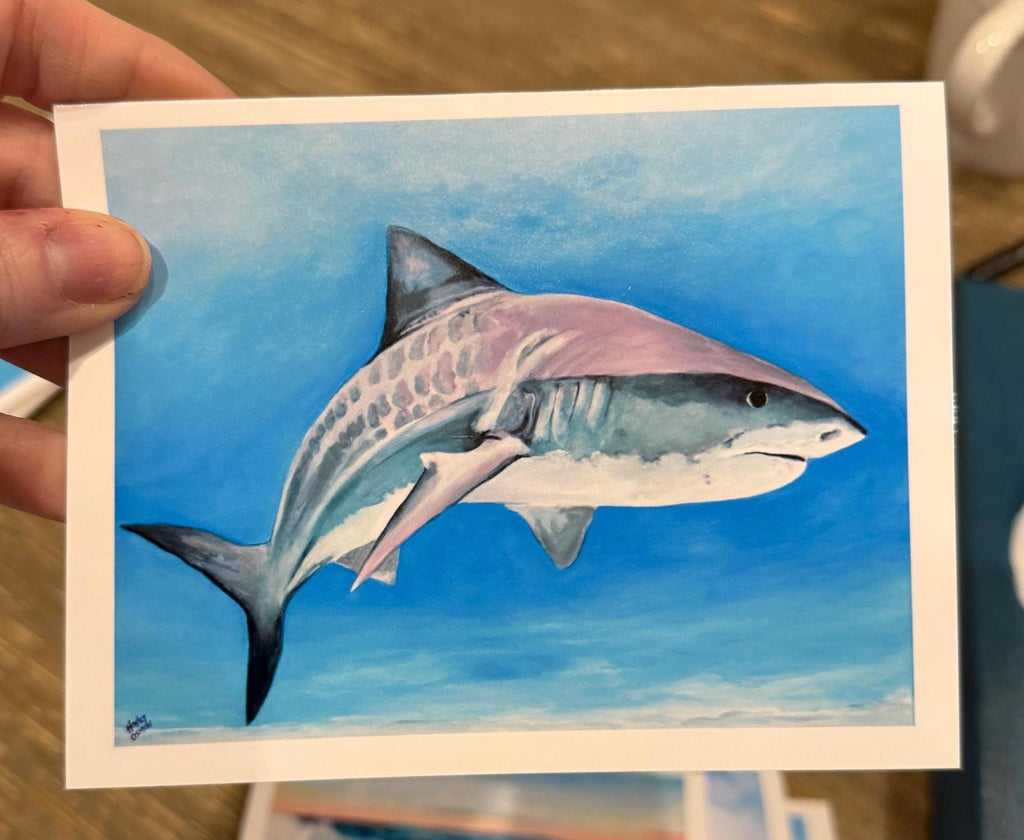 5 pack blank greeting cards with original artwork prints (glossy outside, matte inside).