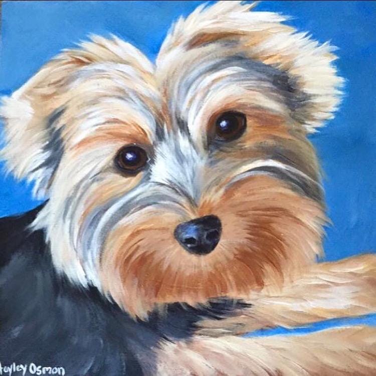 Custom Pet Portrait Painting, Hand-Painted Acrylic on Stretched Canvas