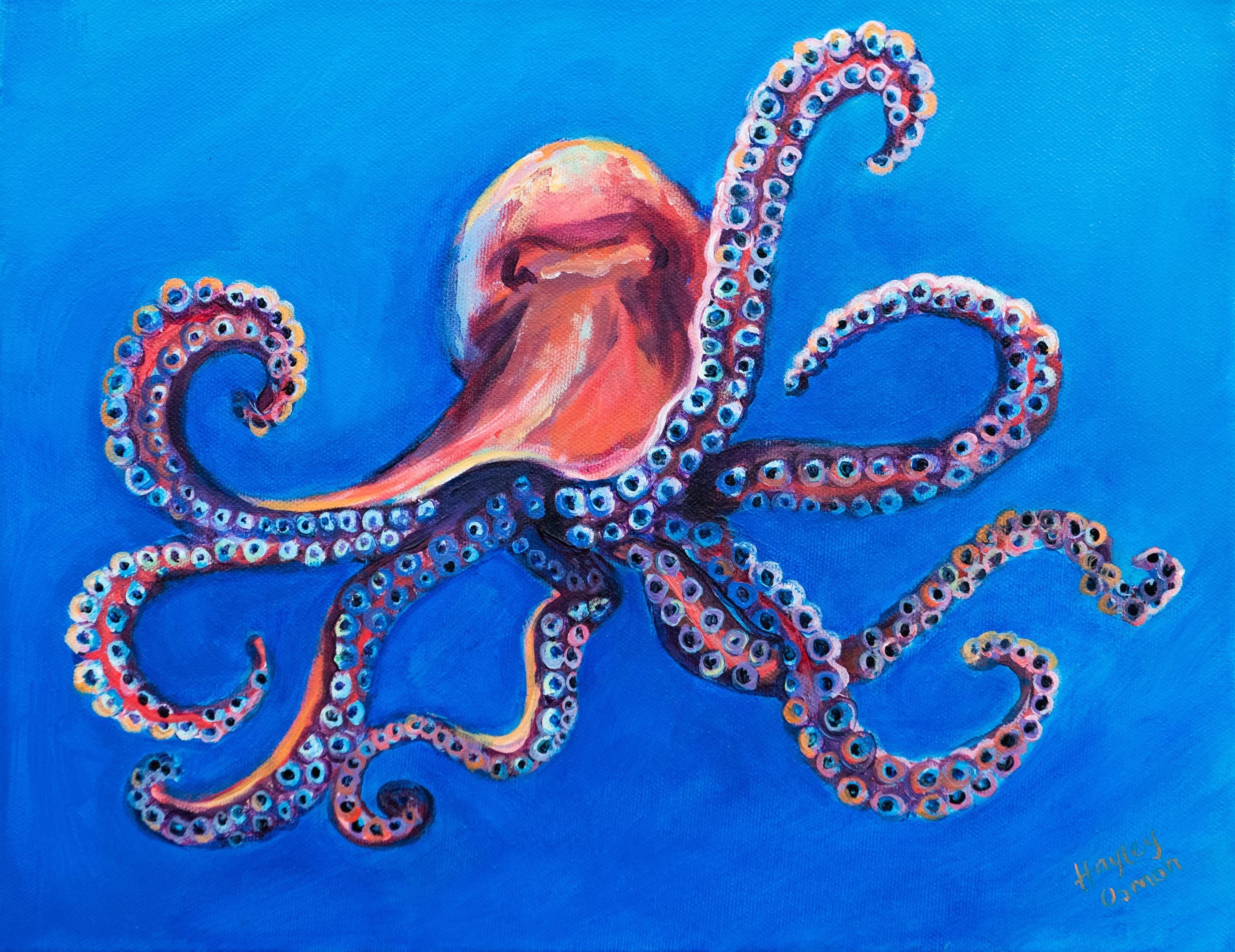 Alpha Octopus Print